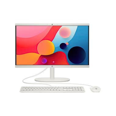 HP All-in-One Desktop 22-DG0012NH